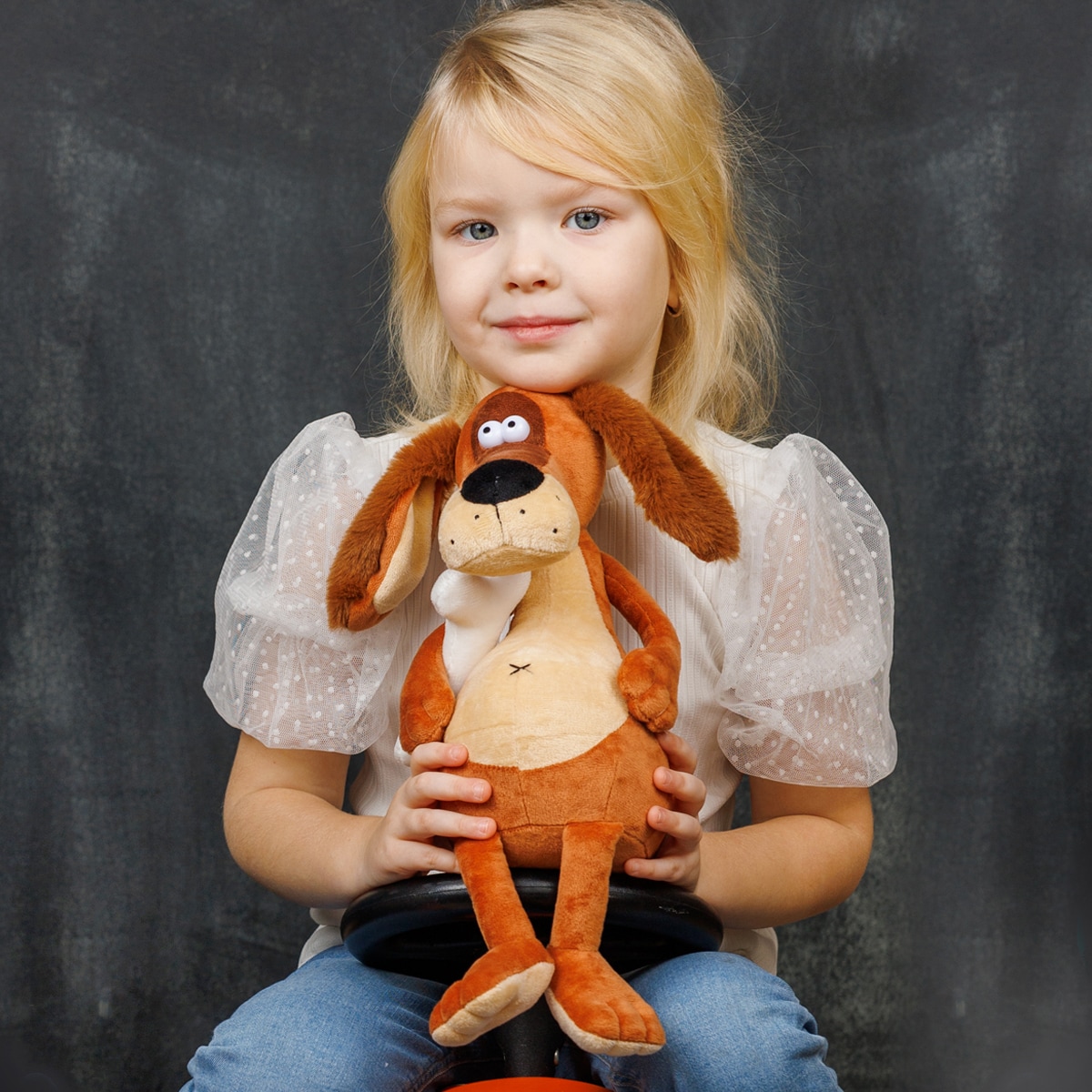 Игрушка Мягконабивная, Пес и Косточка, 25 см, в Коробке (MT-MRT-D04202310-25) — фото 5